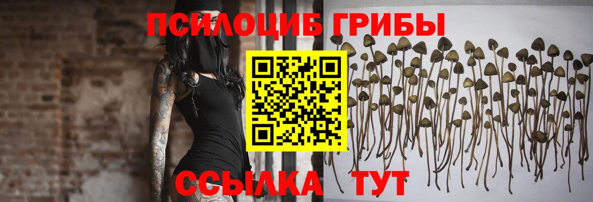 Галлюциногенные грибы мицелий  Вход с VPN  Партизанск  Галлюциногенные грибы MAGIC MUSHROOMS 