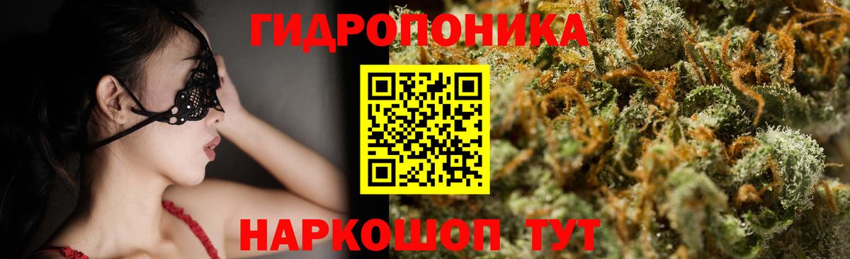 Бошки Шишки сатива Партизанск